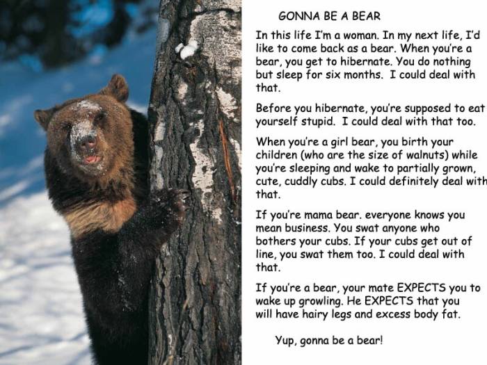 Wanna be a Bear...