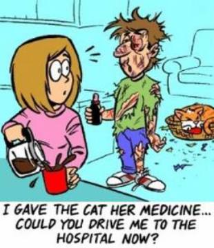 catcartoon02