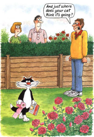 catcartoon03