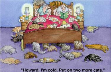 catcartoon04