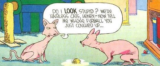 catcartoon08