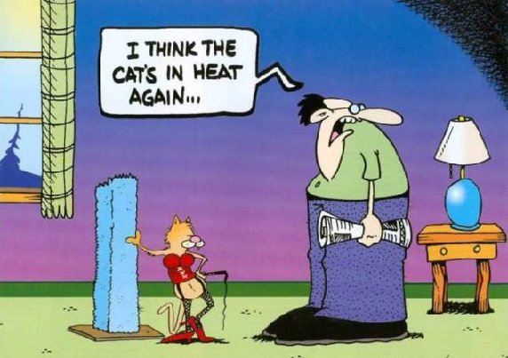 catcartoon09