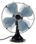 fan