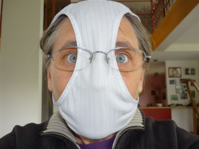 Flu Mask