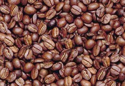 Find the Man in the Beans