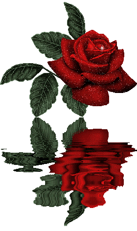 rosereflectinwater