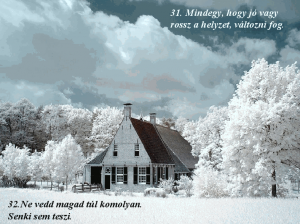 Norge17