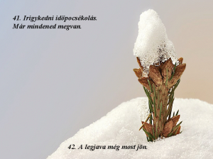 Norge22