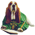 dogingreentshirt