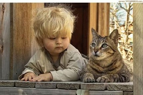 kid&cat