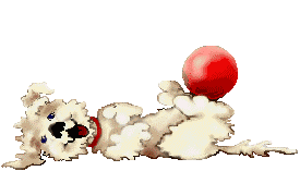 wtDogwRedBall