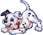 wtPuppywblkSpots