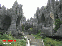 China05