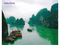 China20