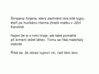 pary24