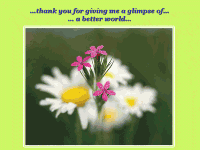 tears20