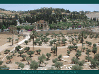 Jerusalem01 Jerusalem01
