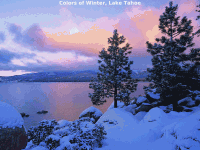 winter03