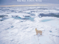 winter08