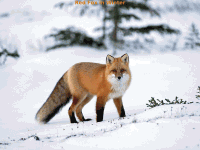 winter12