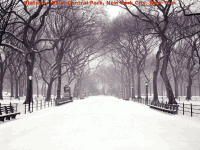 winter13