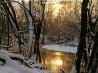 winter32