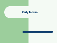 only14 only14