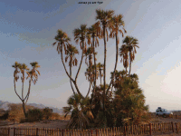 Israel02