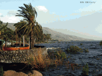 Israel14