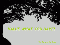 value01