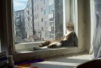 relax02