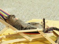 relax05