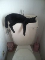 relax10