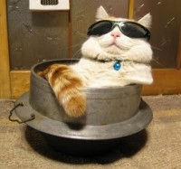 relax21