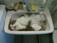 relax26
