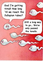 cartoons07