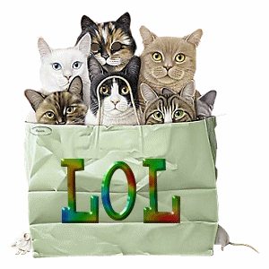 catsinLOLbag