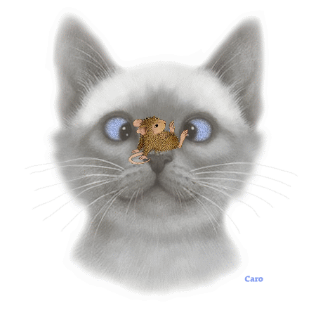 catwsparklyeyes