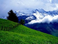 Swiss05