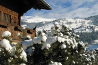 Swiss06