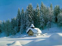 Swiss07
