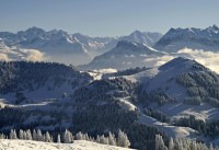 Swiss08