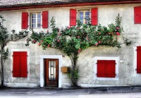 Swiss13