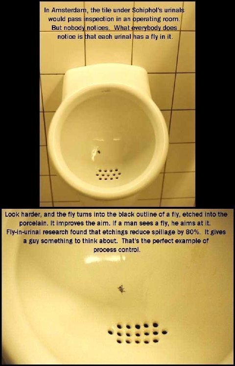 Fly in the Toilet
