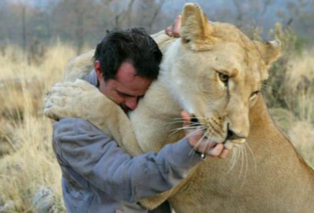 Kevin Richardson - The Lion Whisperer