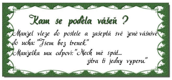 Kam se Poděla Vášeň?