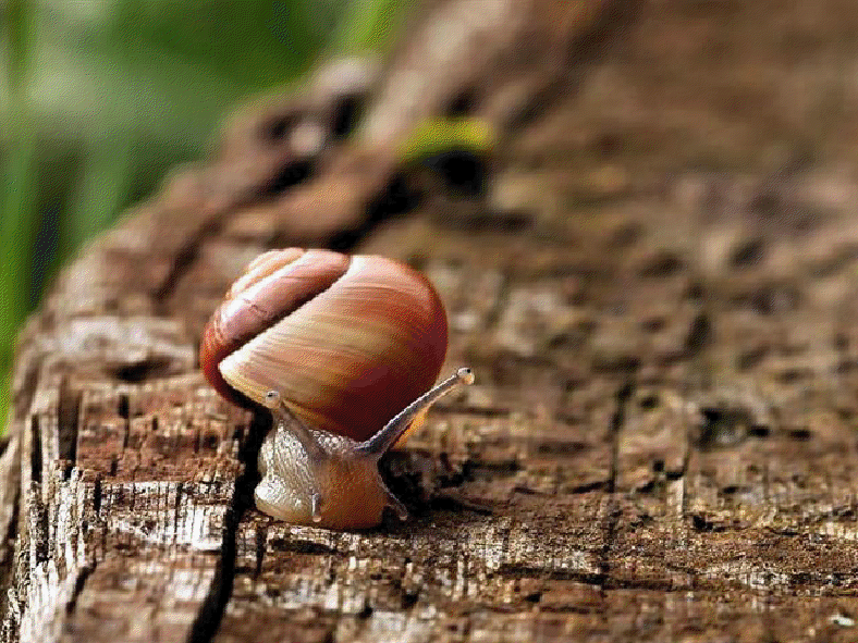 Fabulous Photography